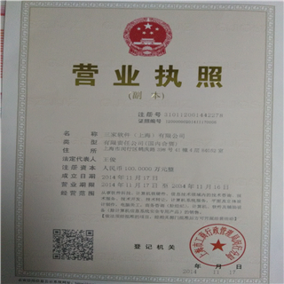 探索三家軟件上海 上海軟件代理與開發的領航者